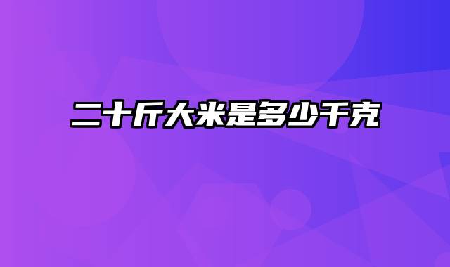 二十斤大米是多少千克