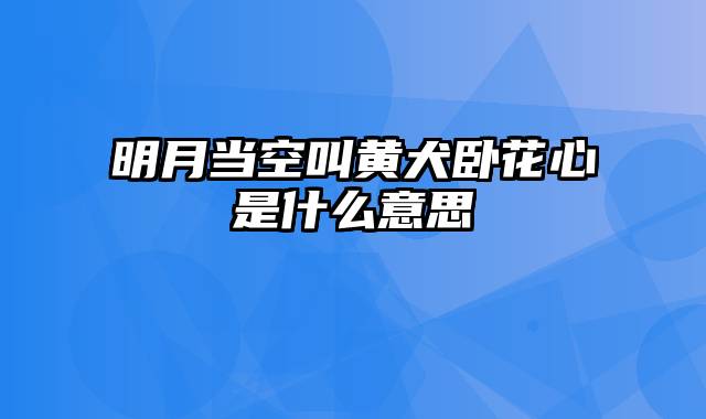 明月当空叫黄犬卧花心是什么意思