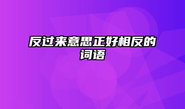 反过来意思正好相反的词语