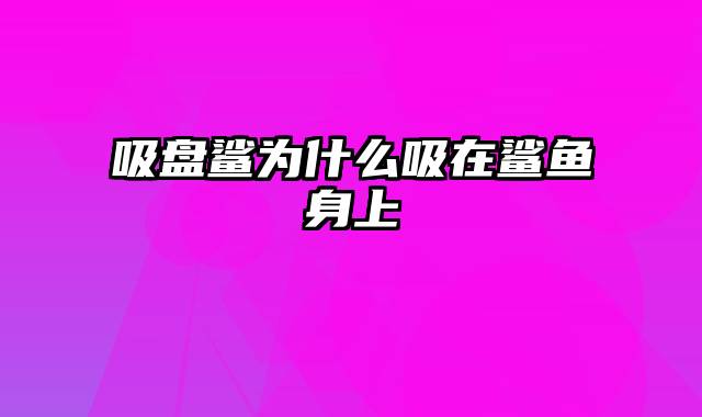 吸盘鲨为什么吸在鲨鱼身上