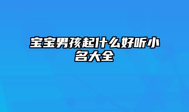宝宝男孩起什么好听小名大全