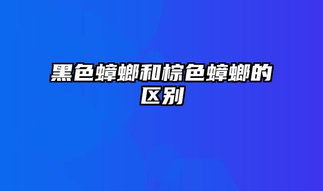 黑色蟑螂和棕色蟑螂的区别