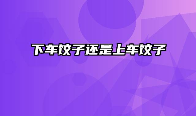 下车饺子还是上车饺子