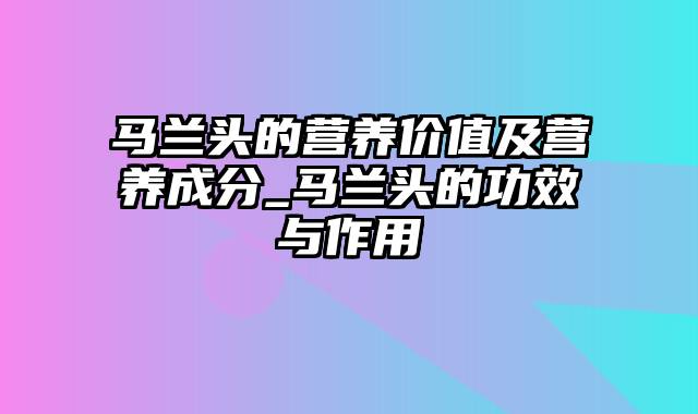 马兰头的营养价值及营养成分_马兰头的功效与作用