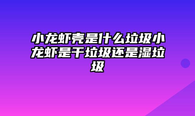 小龙虾壳是什么垃圾小龙虾是干垃圾还是湿垃圾