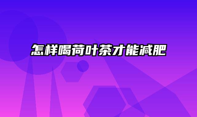 怎样喝荷叶茶才能减肥