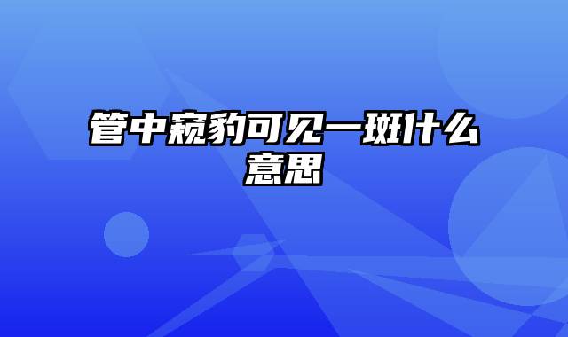 管中窥豹可见一斑什么意思