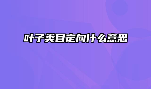 叶子类目定向什么意思