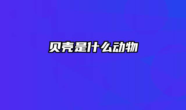 贝壳是什么动物
