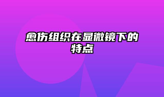 愈伤组织在显微镜下的特点