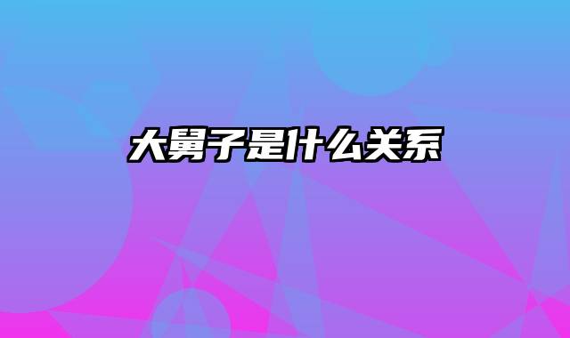 大舅子是什么关系