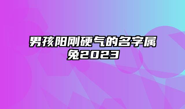 男孩阳刚硬气的名字属兔2023