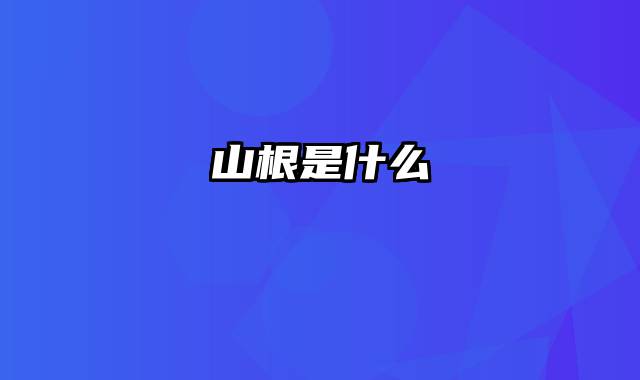 山根是什么