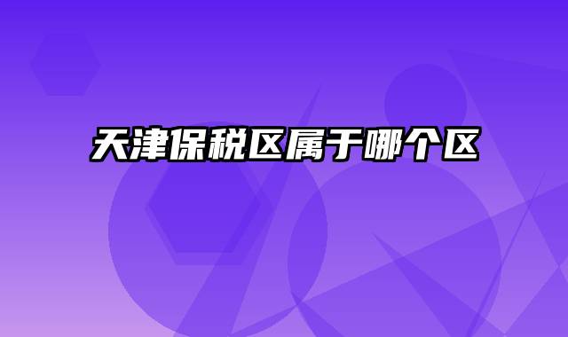 天津保税区属于哪个区