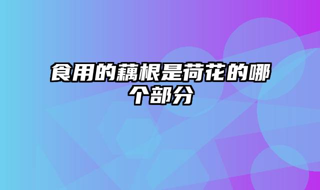 食用的藕根是荷花的哪个部分