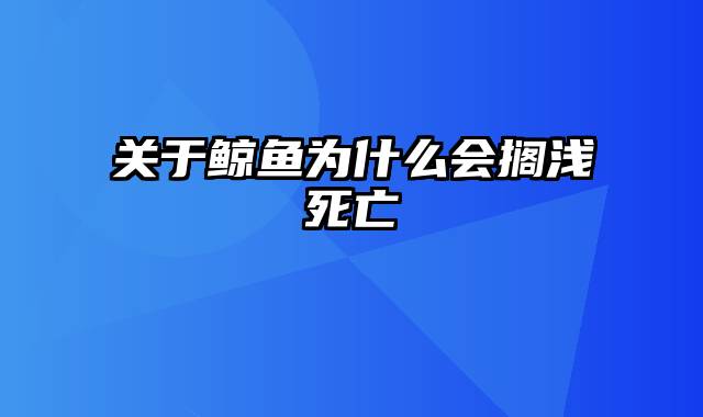 关于鲸鱼为什么会搁浅死亡