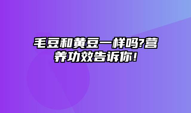 毛豆和黄豆一样吗?营养功效告诉你!