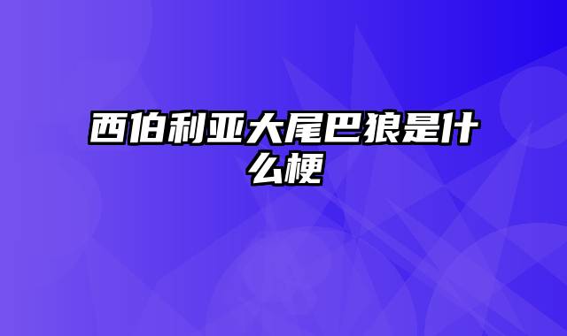 西伯利亚大尾巴狼是什么梗