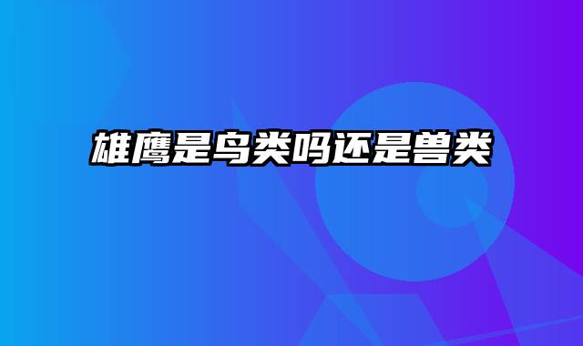 雄鹰是鸟类吗还是兽类