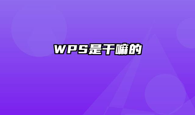 WPS是干嘛的