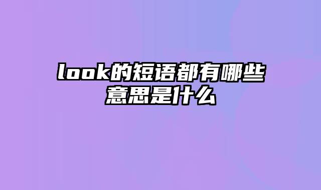 look的短语都有哪些意思是什么