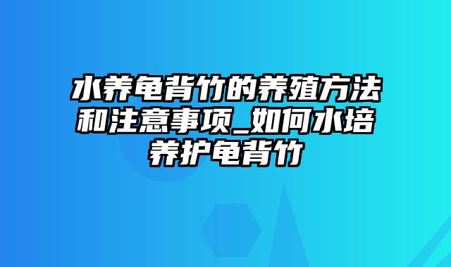 水养龟背竹的养殖方法和注意事项_如何水培养护龟背竹