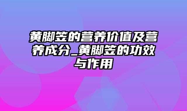 黄脚笠的营养价值及营养成分_黄脚笠的功效与作用