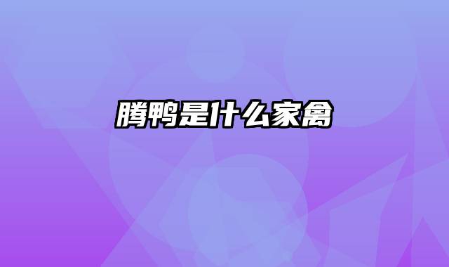 腾鸭是什么家禽