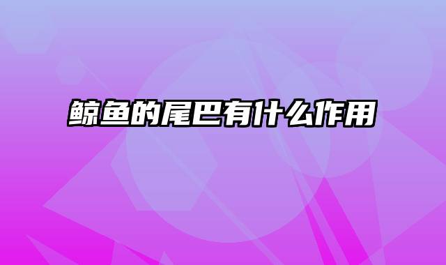 鲸鱼的尾巴有什么作用