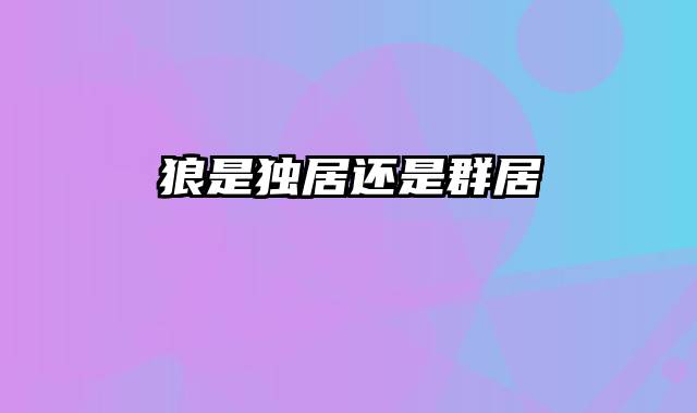狼是独居还是群居