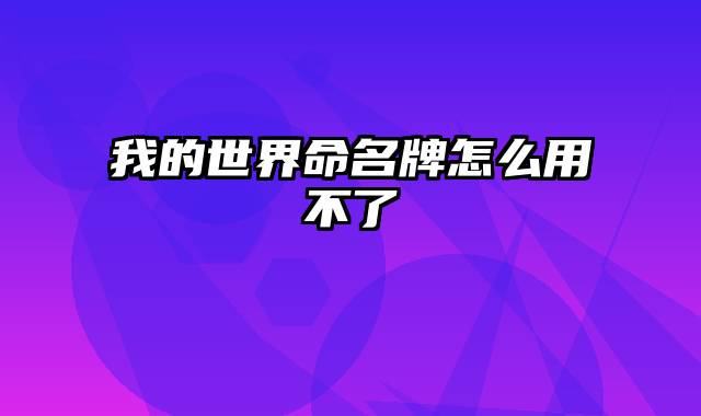 我的世界命名牌怎么用不了