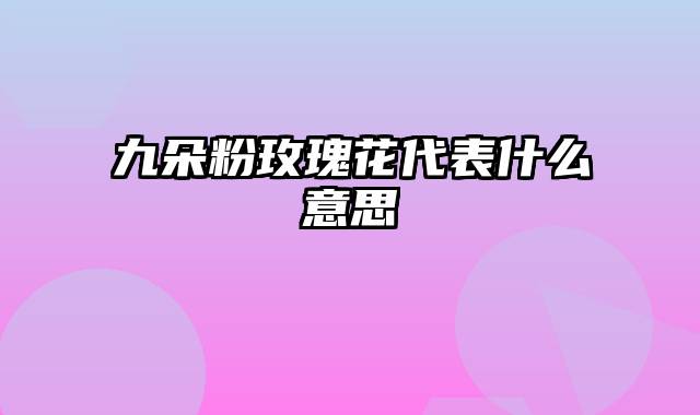 九朵粉玫瑰花代表什么意思