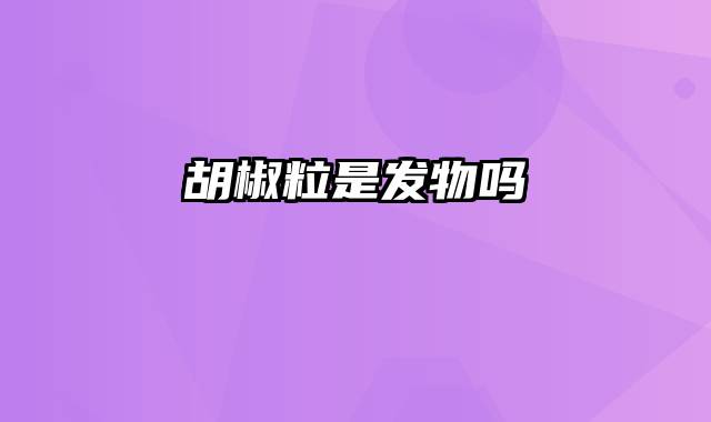 胡椒粒是发物吗