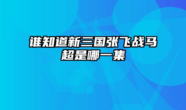 谁知道新三国张飞战马超是哪一集