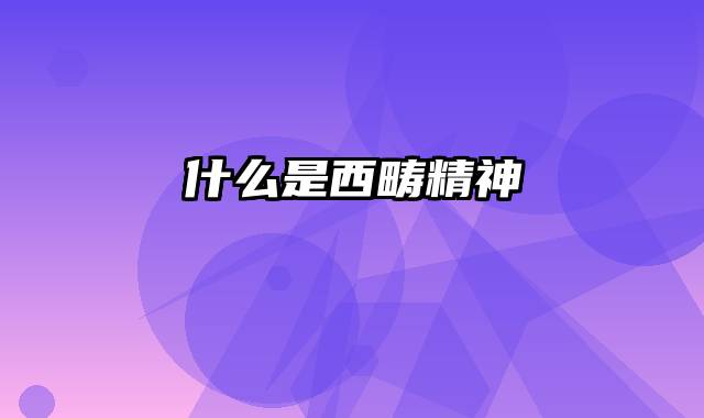 什么是西畴精神