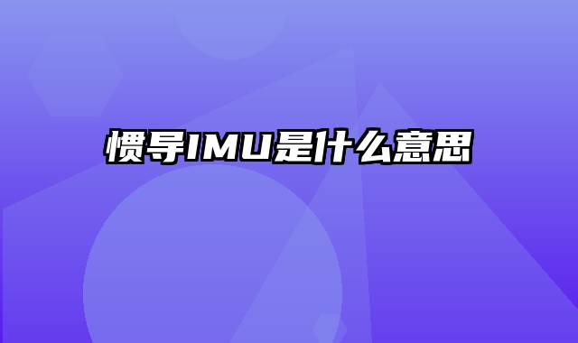 惯导IMU是什么意思