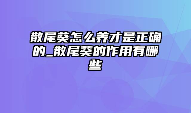 散尾葵怎么养才是正确的_散尾葵的作用有哪些