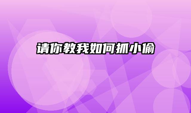 请你教我如何抓小偷