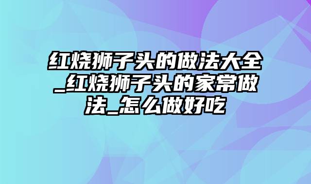 红烧狮子头的做法大全_红烧狮子头的家常做法_怎么做好吃