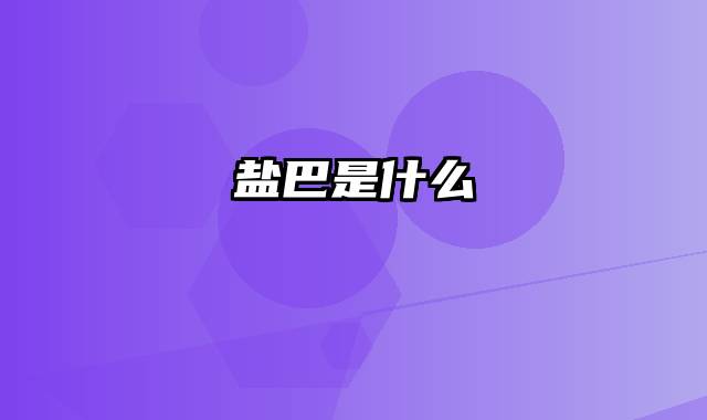 盐巴是什么