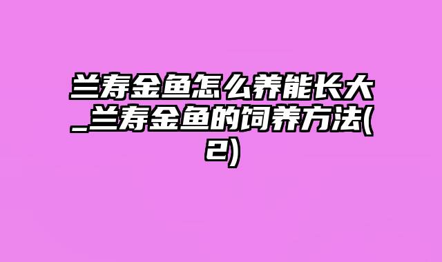 兰寿金鱼怎么养能长大_兰寿金鱼的饲养方法(2)