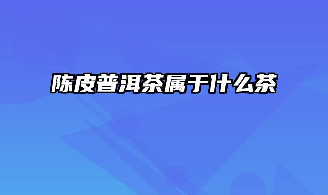 陈皮普洱茶属于什么茶