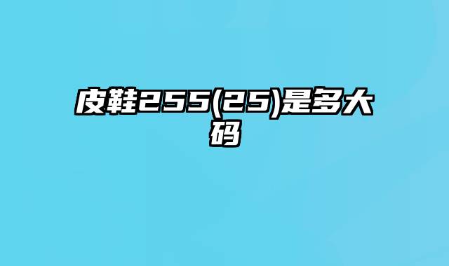 皮鞋255(25)是多大码