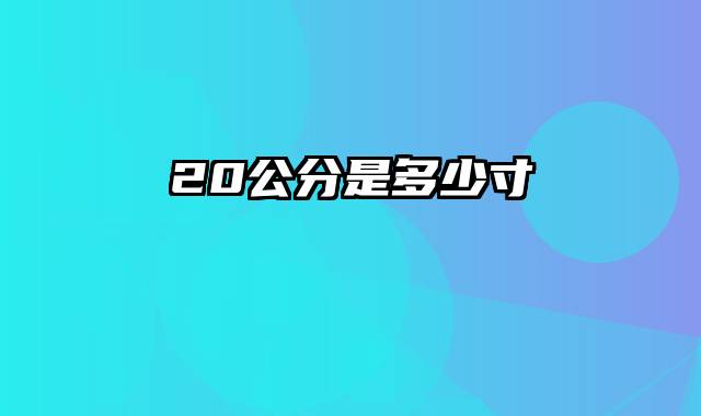 20公分是多少寸