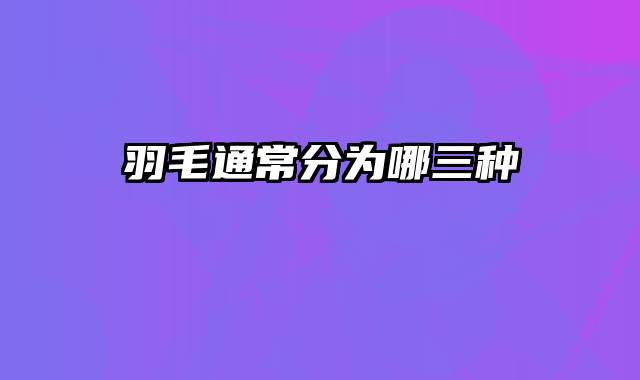 羽毛通常分为哪三种