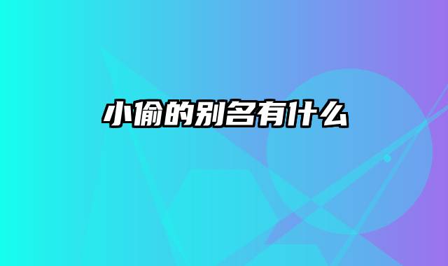 小偷的别名有什么
