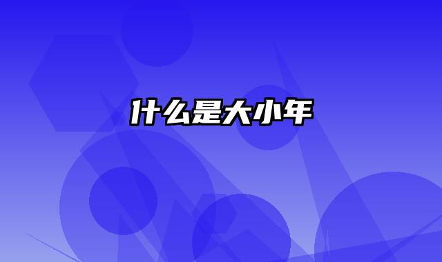 什么是大小年