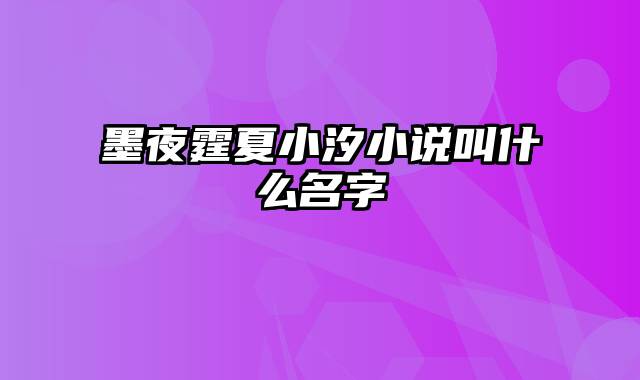 墨夜霆夏小汐小说叫什么名字