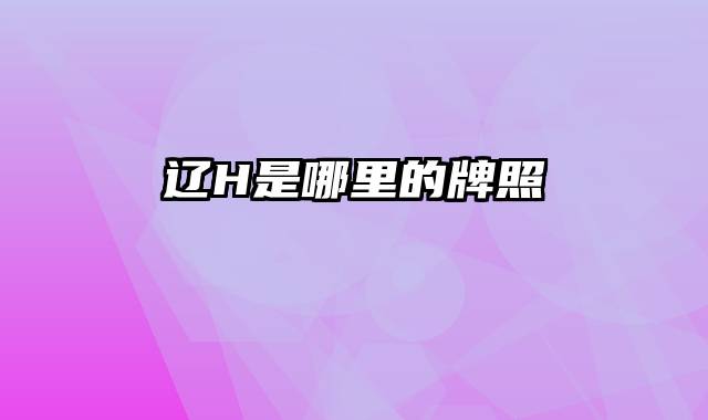 辽H是哪里的牌照