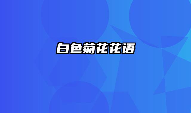 白色菊花花语